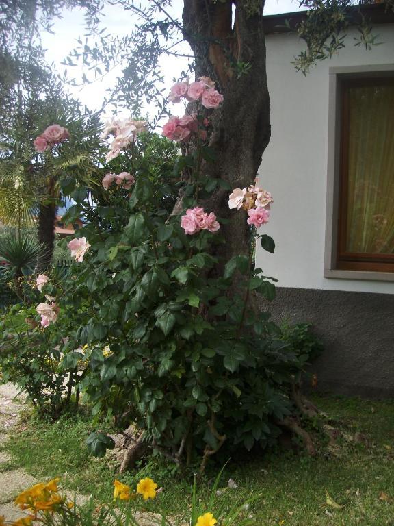 Garni Casa Rabagno Hotel Malcesine Bagian luar foto